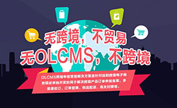 OLCMS跨境申报管理系统